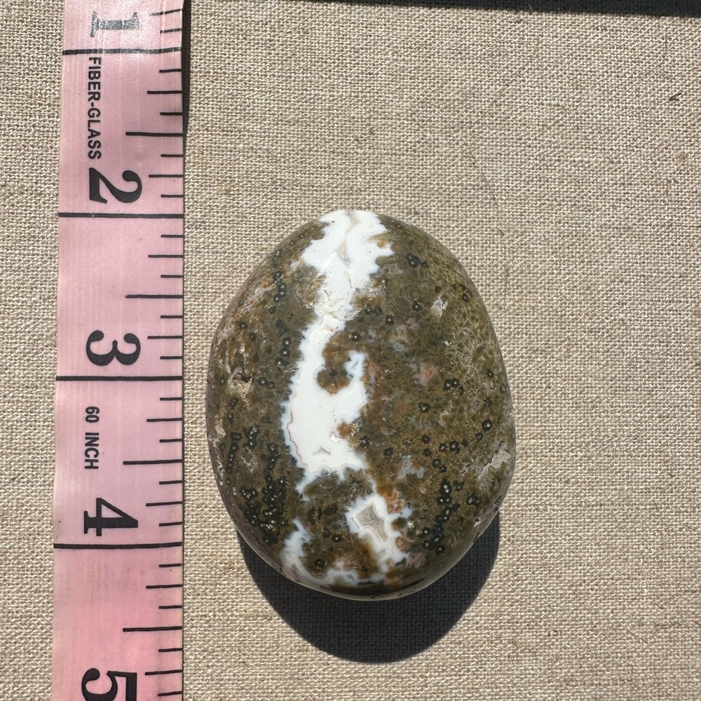 Ocean Jasper Palmstone